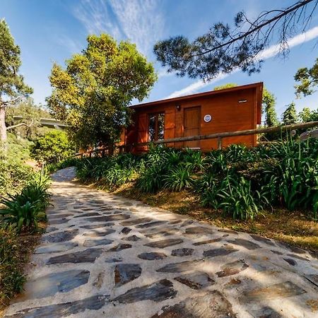 Arrabia Bunga Payva Guest House Raiva Екстериор снимка